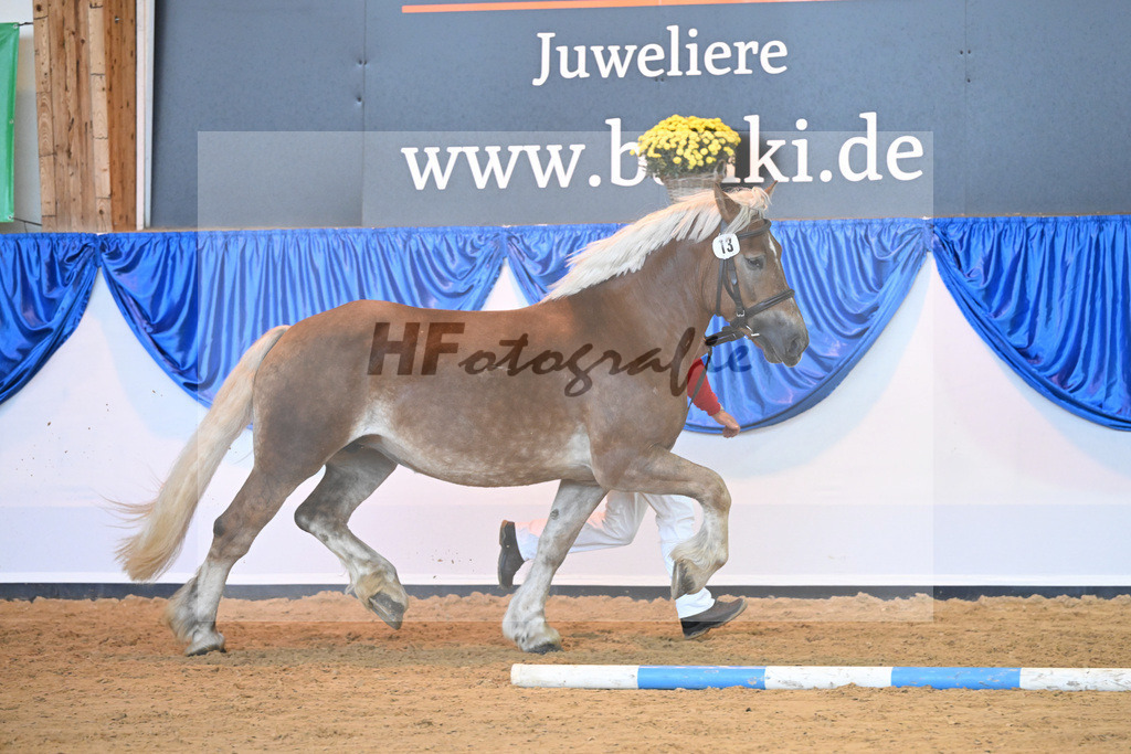 Kat-Nr. 13 Hexe_ZG Meyer zu Huecker_53221004 | hf-fotografie - Realizzato con Pictrs.com