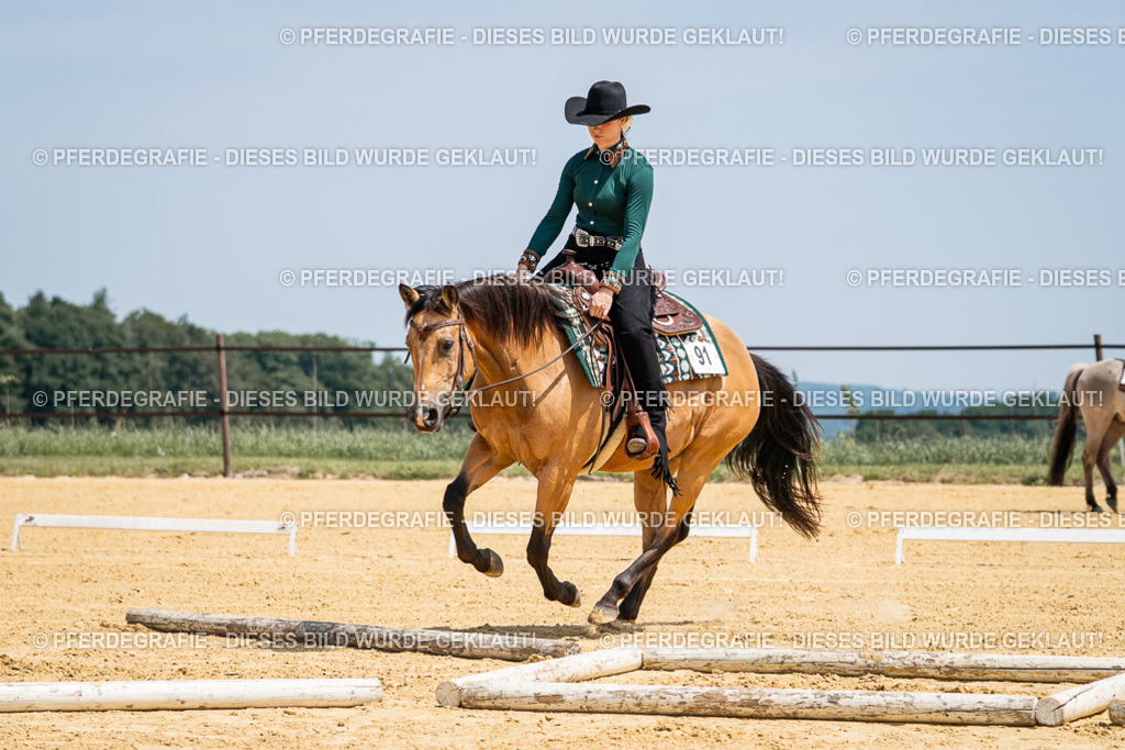 DSC01293 | Pferdegrafie