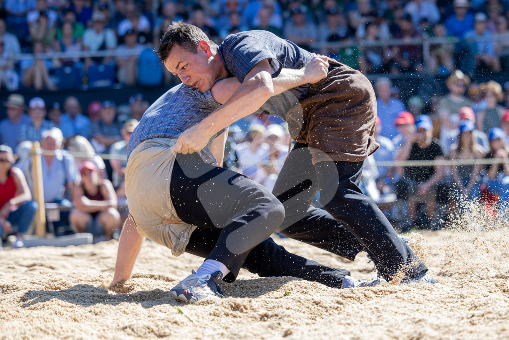 TESSINER2025_04_Gang_0637 | Die Schwinger des Schwyzer Kantonalen Schwingerverbandes: Fotos, die Dynamik und Leidenschaft festhalten, sowie emotionale Momente aus dem traditionellen Schwingsport zeigen. - Realisiert mit Pictrs.com