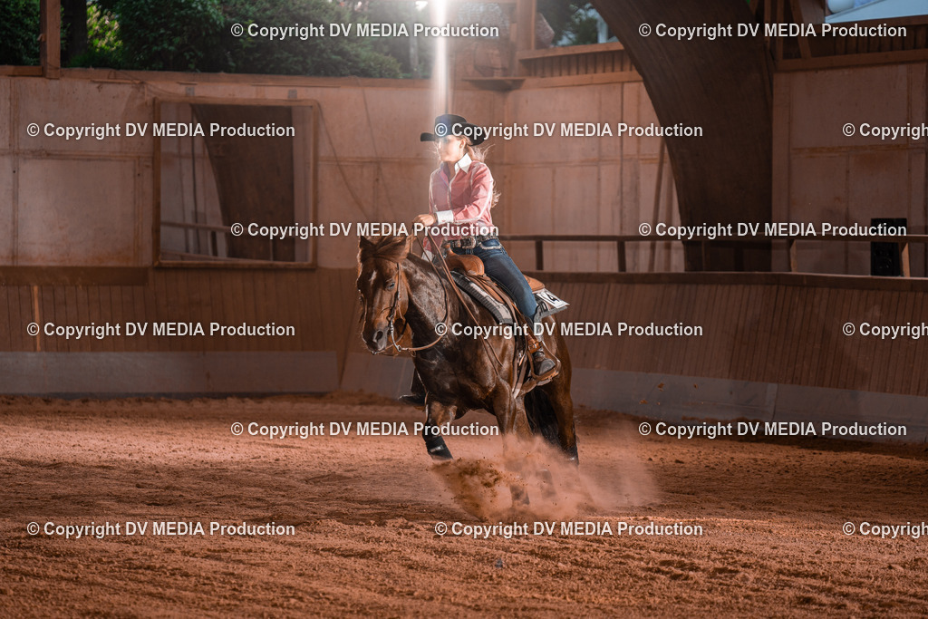 NE201402 | dv-media-shop - Realisiert mit Pictrs.com