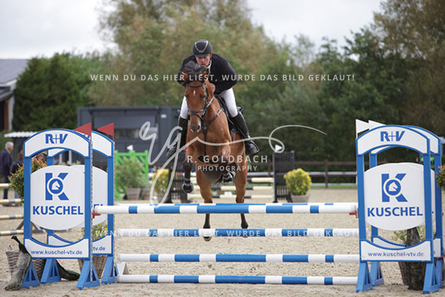 1J2A9961Jan Philipp Schultz_ Ayden_s Gold_ Kn030_ Havekost | Foto- und Videografie für alles rund ums Pferd. Hochwertige Bilder und Videos vom Spring- und Dressurreiten, Voltigieren & mehr. Jetzt aktuelle Veranstaltungen und Preise im Shop ansehen. - Realisiert mit Pictrs.com