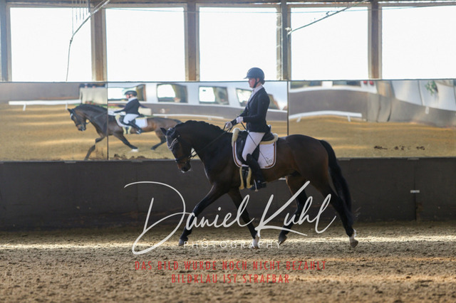 IMG_2273 | Turniersportfotografie; Pferdefotografie; Dressurfotografie