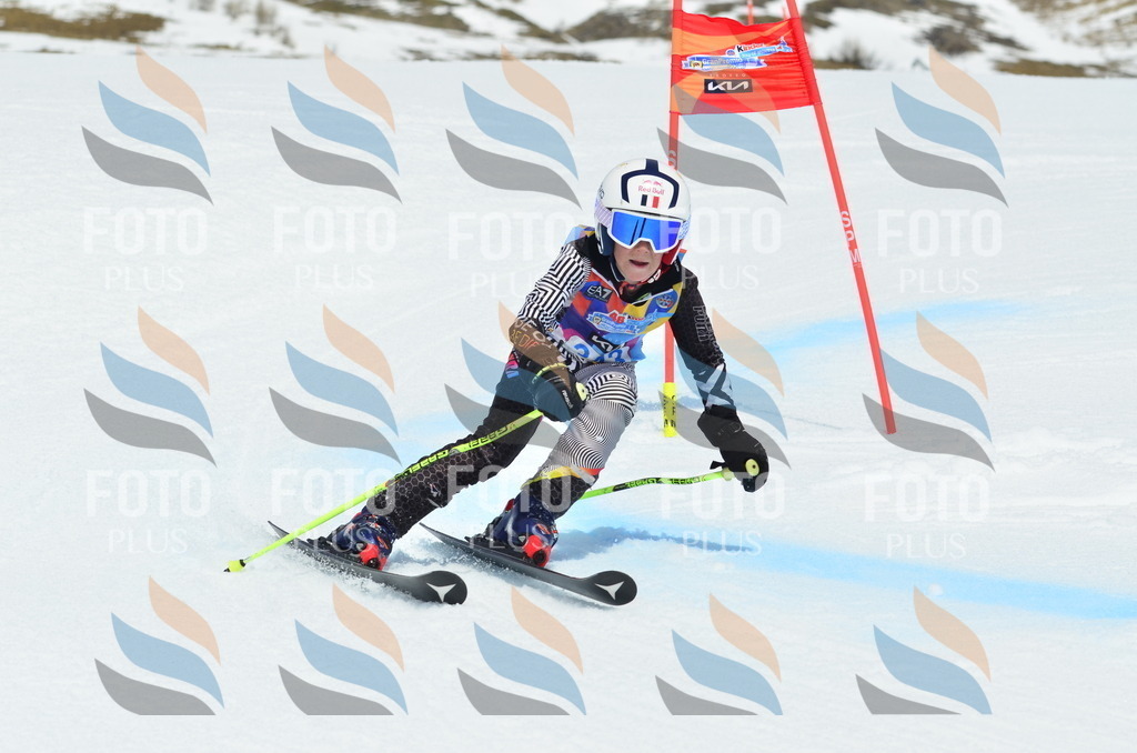 _ELE2600 | holidayphoto