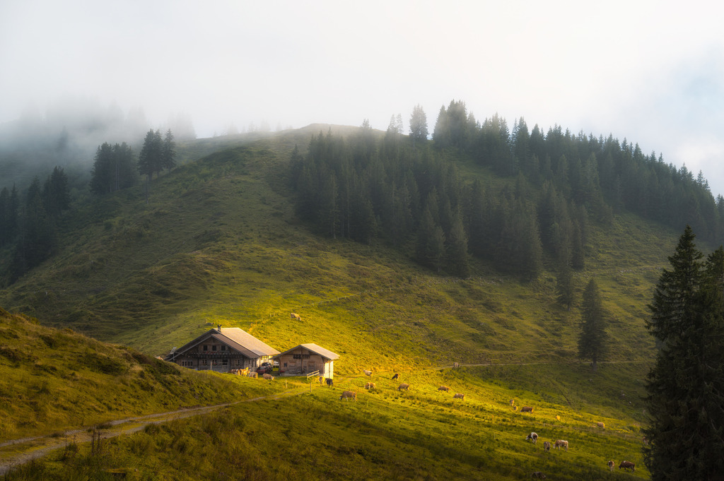 Widegg | Habkern - Realisiert mit Pictrs.com