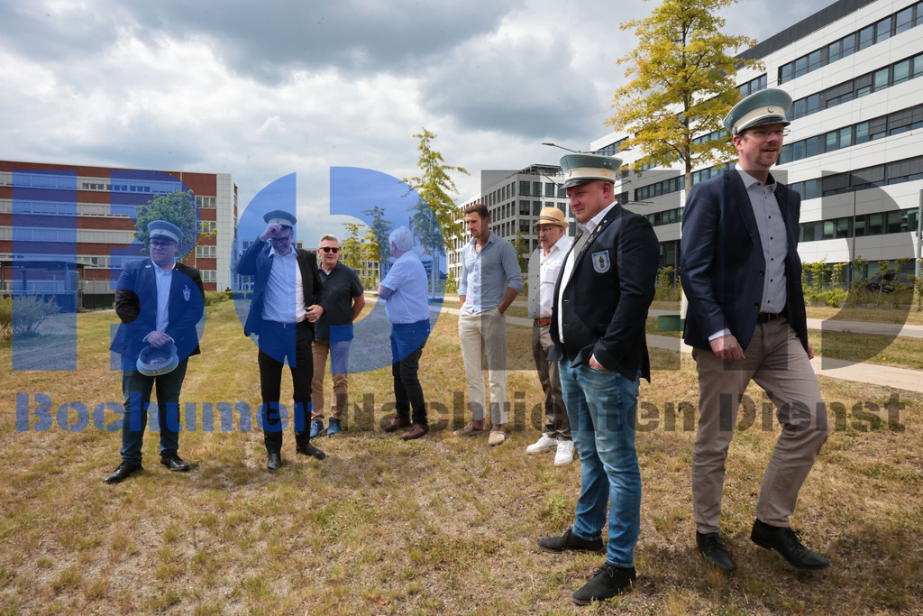 Eicheingrabung | Eicheingrabung - Realisiert mit Pictrs.com