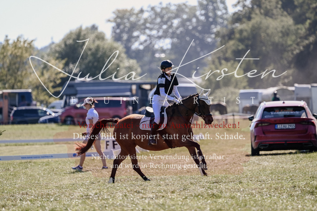 DSC_3449 | Pferde- und Turnierfotografie in Westsachsen. Pferdeportraits, Auftragszeichnungen und intuitive Kunst.