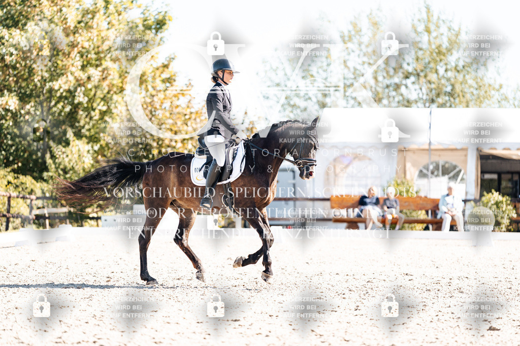 CK909098 | Turnierfotografie Pferdefotografie Trier Rheinland-Pfalz Pferdesport Reitsport Tierfotografie Sportfotografie Pferdevideo Pferdevideografie Equestrianvideography equestrianphotography  - Realisiert mit Pictrs.com