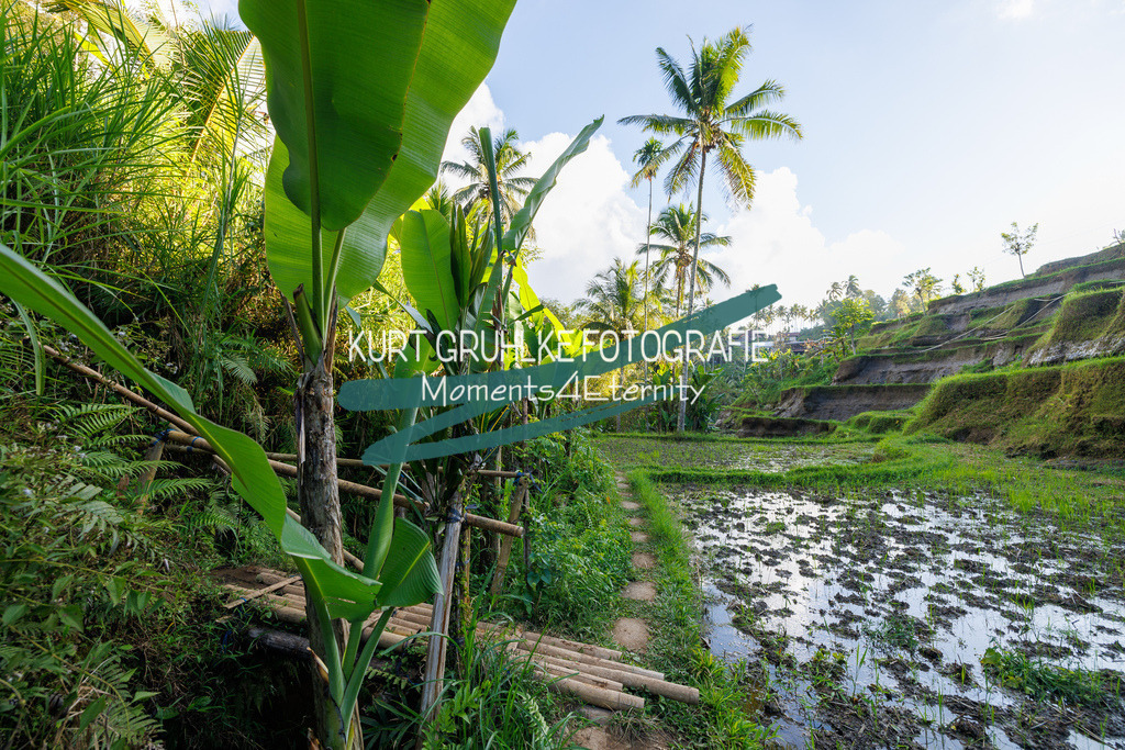 230720-1367 | onlinegalerie und Fotoshop Kurt Gruhlke Fotograf Berlin
Hochzeitsfotograf Eventfotograf Portraitfotografie
 - Realisiert mit Pictrs.com