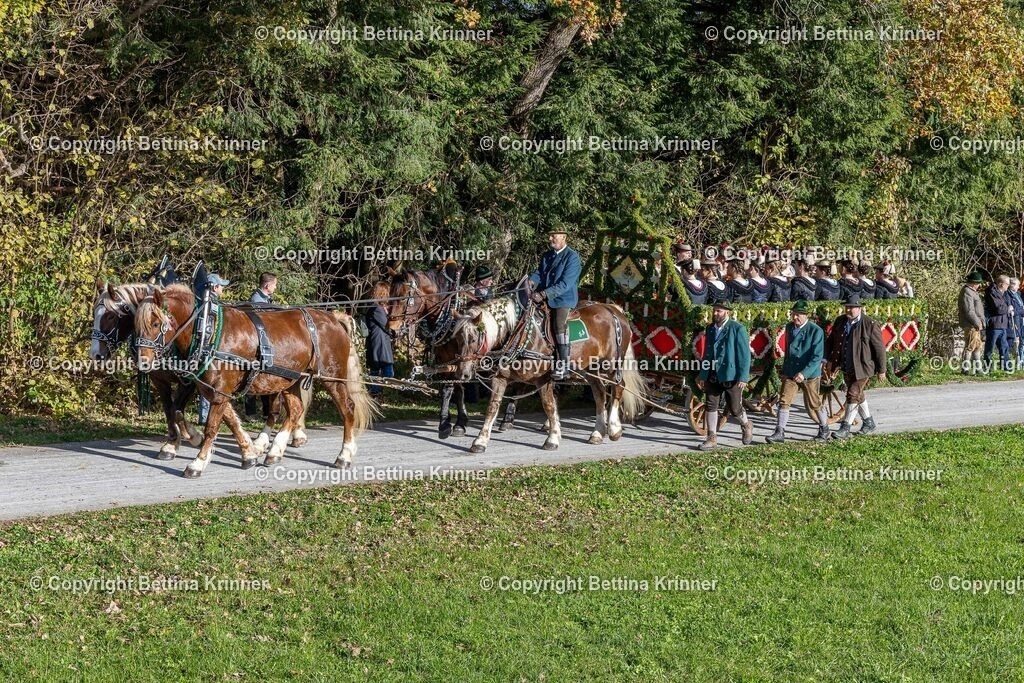 LBT24-953 | foto-bettina-krinner - Realisiert mit Pictrs.com