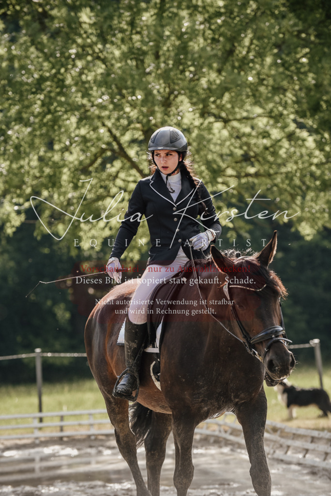 DSC_8699 | Pferde- und Turnierfotografie in Westsachsen. Pferdeportraits, Auftragszeichnungen und intuitive Kunst.
