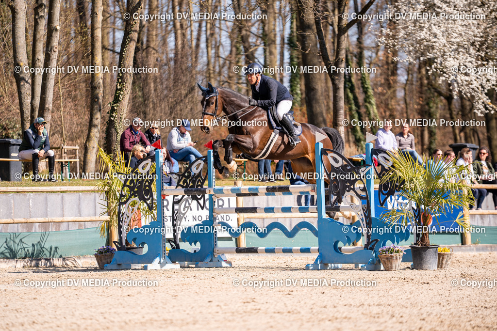 Kranichstein Tag 2-842 | dv-media-shop - Realisiert mit Pictrs.com