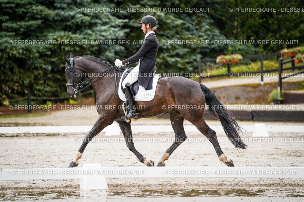 DSC08827 | Pferdegrafie