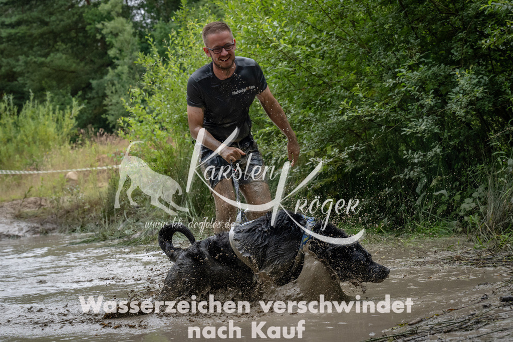1431_ZZ91264 | kk-dogfotos