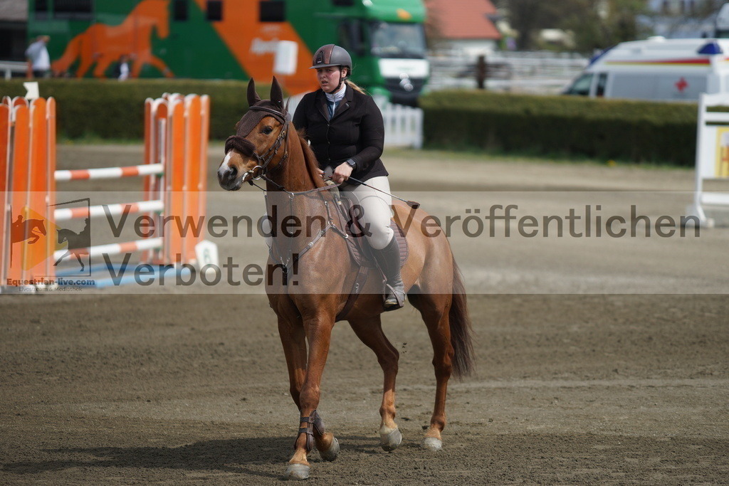 DSC04328 | equestrian-live-com