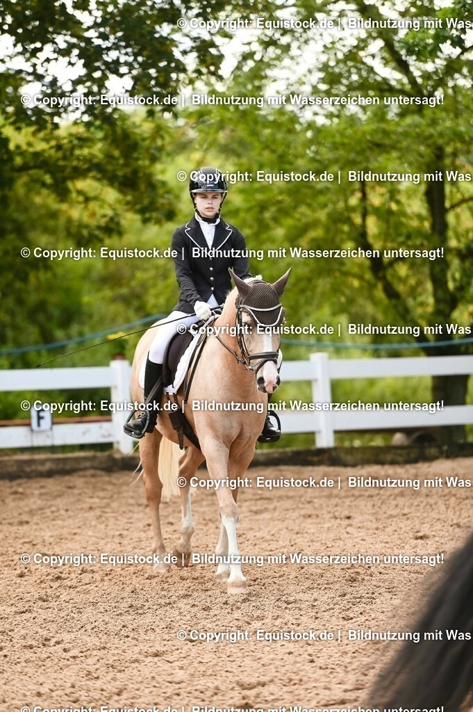 20230716_04_Dressurreiterprüfung Kl.A_0357 | equistock