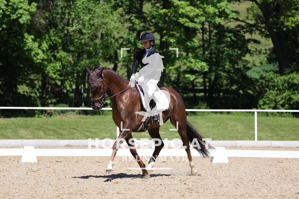 0P6A0971 | Willkommen bei Brunnmayr - Design & Fotografie – Ihrem Spezialisten für Reitturniere und Pferdeveranstaltungen in Oberösterreich, Salzburg und Bayern! Seit über 17 Jahren sind wir leidenschaftlich dabei.