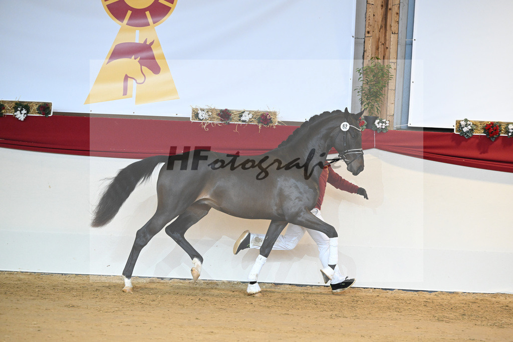 Kat-Nr. 62 Le Formidable_Rothenberger_1231481 | hf-fotografie - Realisiert mit Pictrs.com