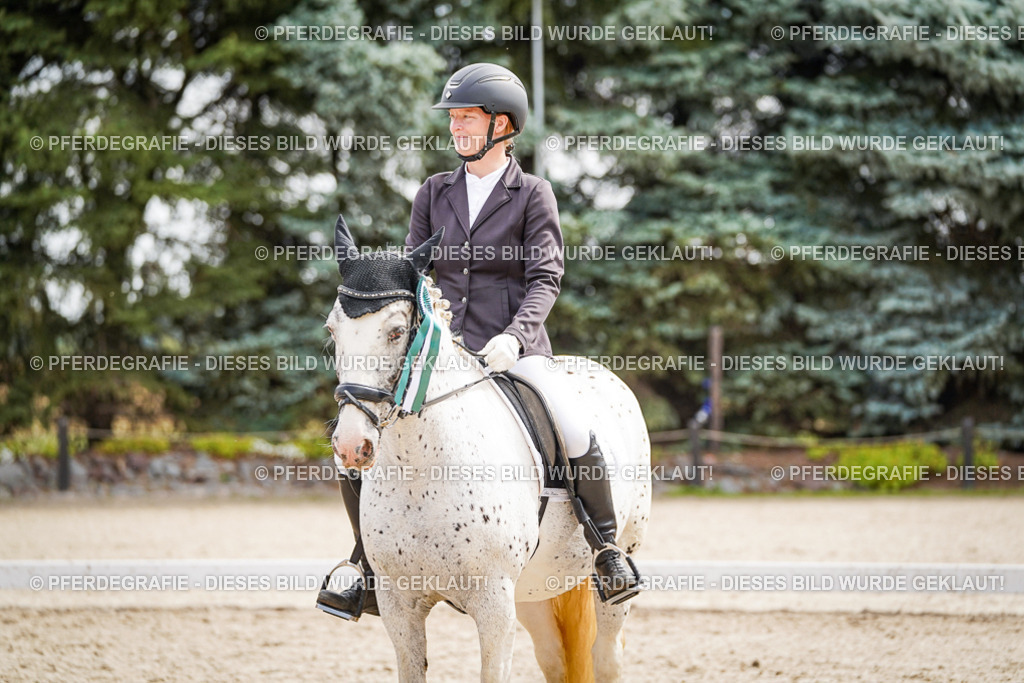 DSC02376 | Pferdegrafie