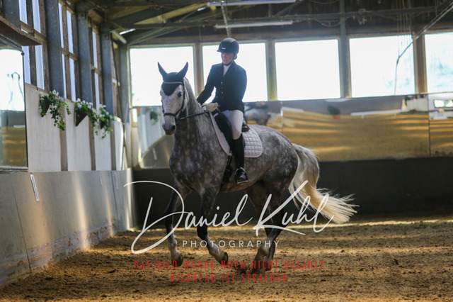 IMG_2768 | Turniersportfotografie; Pferdefotografie; Dressurfotografie