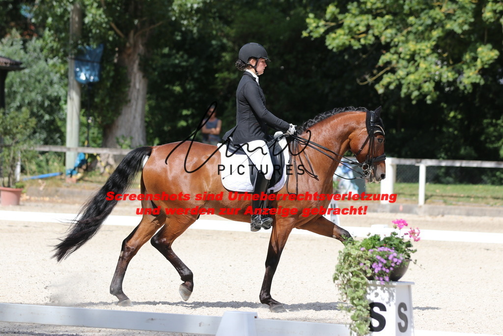 IMG_5328 | lmwpictures - Realisiert mit Pictrs.com