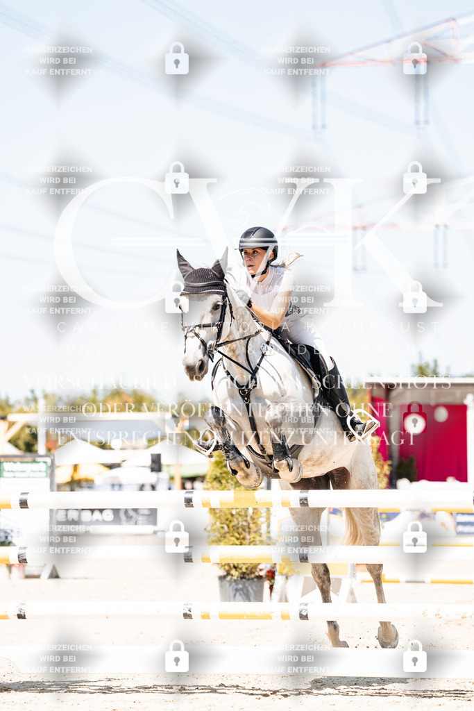 CK909585 | Turnierfotografie Pferdefotografie Trier Rheinland-Pfalz Pferdesport Reitsport Tierfotografie Sportfotografie Pferdevideo Pferdevideografie Equestrianvideography equestrianphotography  - Realisiert mit Pictrs.com