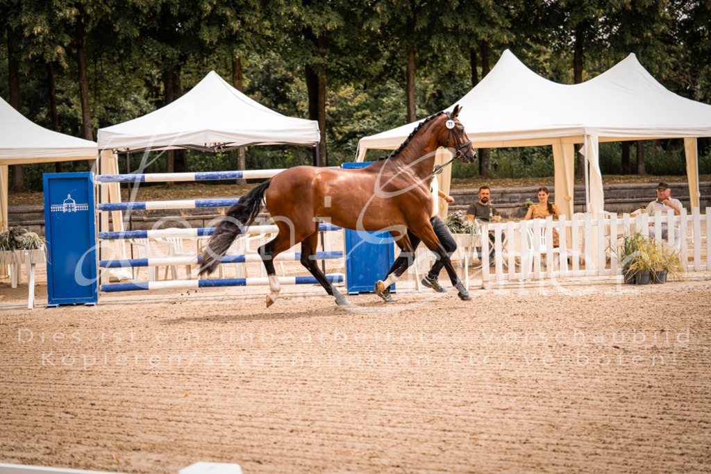 4.Fr00029 | Leoni Ertmer Photography - Realisiert mit Pictrs.com