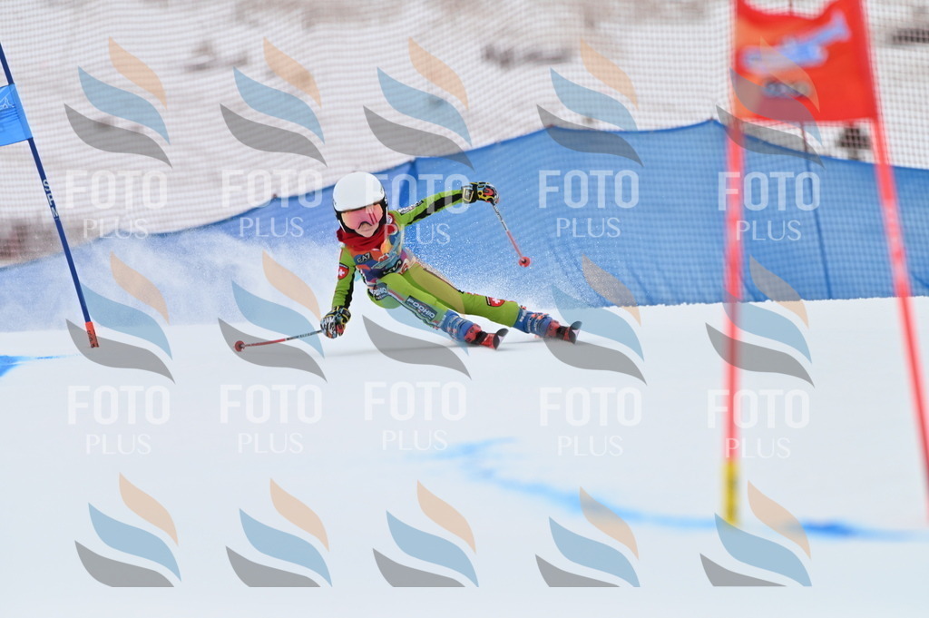 BGV_9343 | holidayphoto