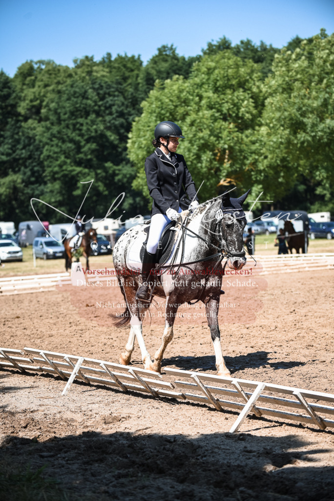 DSC_3209 | Pferde- und Turnierfotografie in Westsachsen. Pferdeportraits, Auftragszeichnungen und intuitive Kunst.