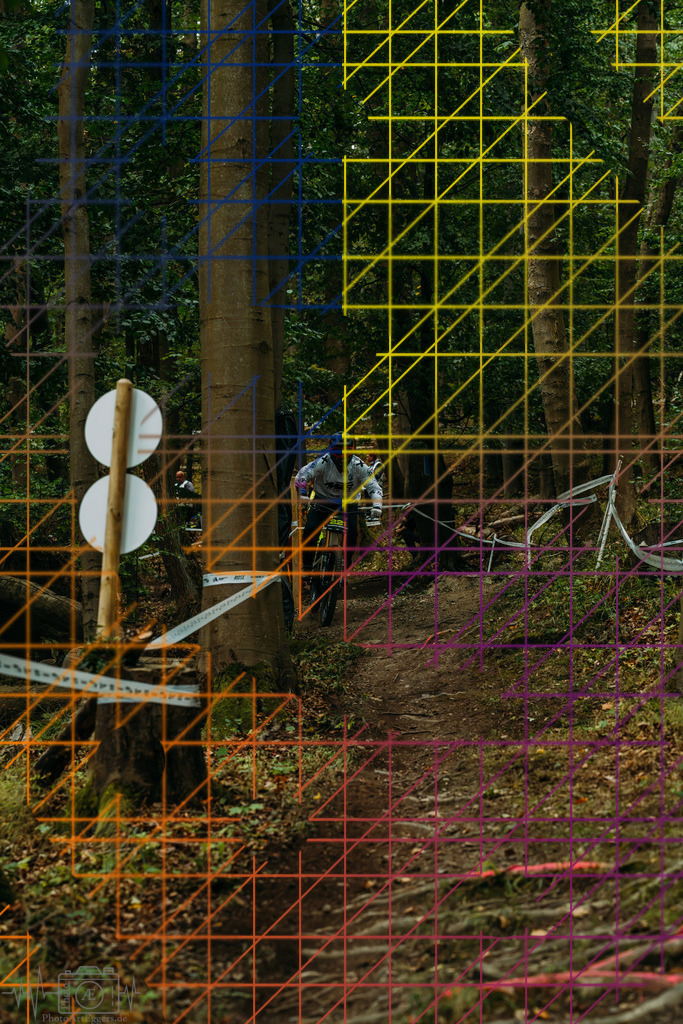 PAE-0231 | Einzigartige Fotokunst für dein Zuhause: Entdecke hochwertige Wandbilder, edle Prints und emotionale Motive von Wildlife, Natur und Landschaften - Realisiert mit Pictrs.com