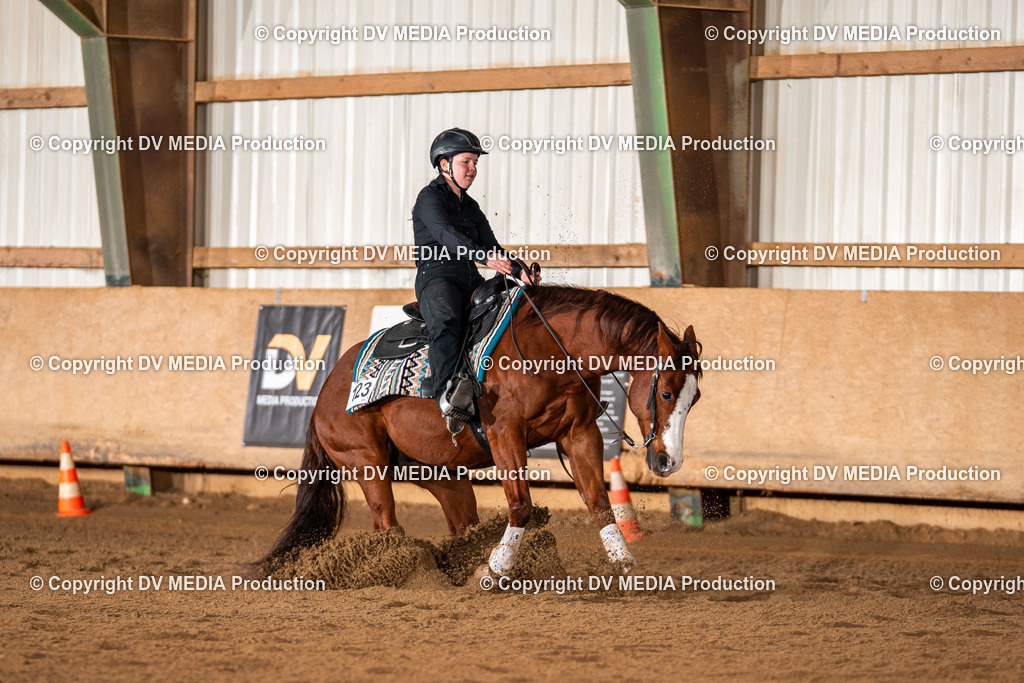 Balingen Tag 4-1255 | dv-media-shop - Realisiert mit Pictrs.com