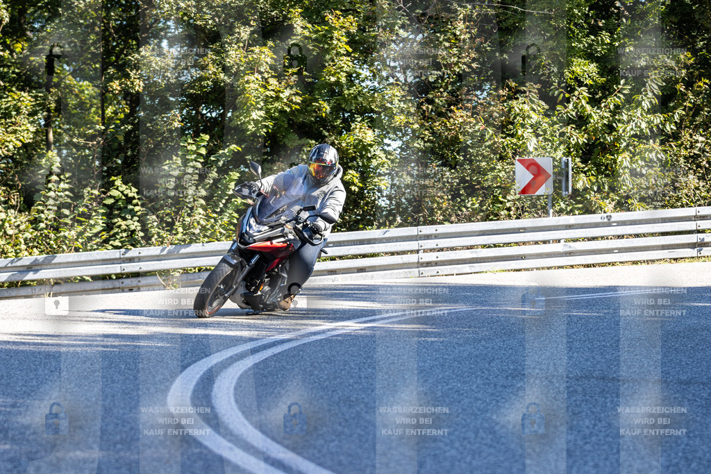 IMG_3343 | jrph - Realisiert mit Pictrs.com