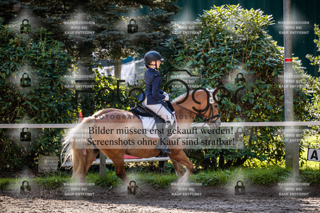 2026-10-Helle-20-4-0024 | Entdecke hochwertige Reitturnierfotos von Foto Oger. Professionell, emotional und authentisch – jetzt Lieblingsmomente im Shop bestellen.Deutschlandweite Turnierfotografie. - Realisiert mit Pictrs.com
