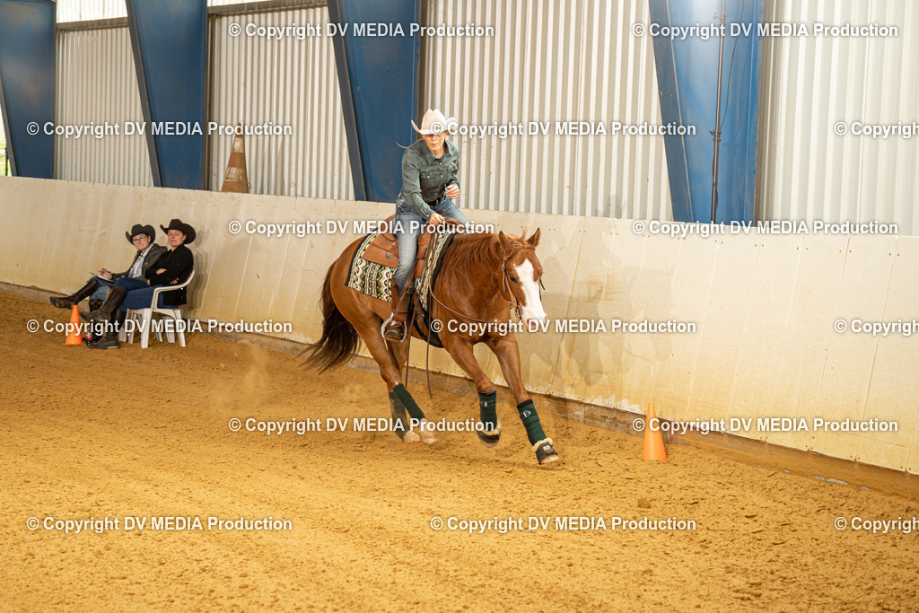 MIT00153 | dv-media-shop - Realisiert mit Pictrs.com