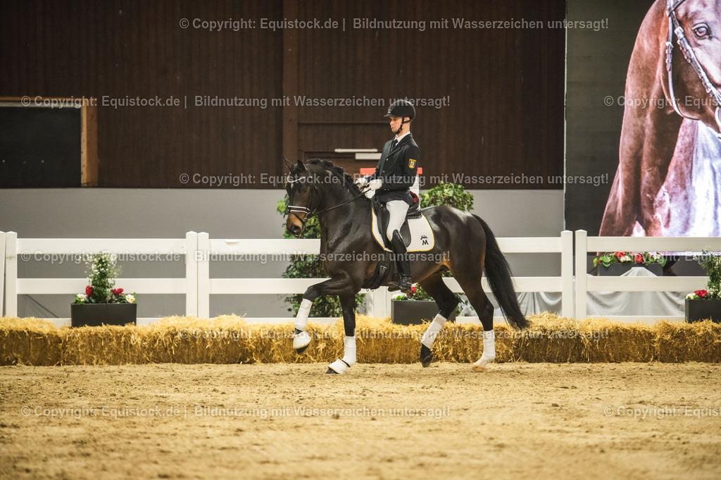 20240302_Hengstvorstellung_Marbach_TOMsPiC_0374-2 | equistock