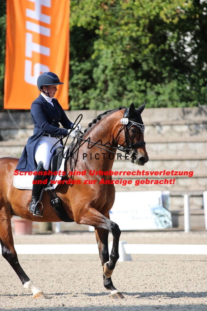 IMG_9197 | lmwpictures - Realisiert mit Pictrs.com