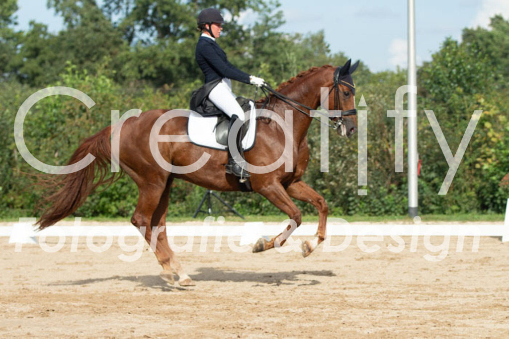 IMG_4151 | Creatify Fotografie