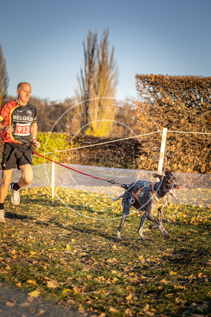 CaniXpix_DV3A4804 | Hundefotografie, Tierfotograf, Pfotenfotografie, Fotoshooting Hund, Hunde Portrait, Hundesport, Hundeportraits, Heideshooting, Hunde, Sportfotograf, Hundefotograf, Turnierhundsport, THS,  - Realisiert mit Pictrs.com