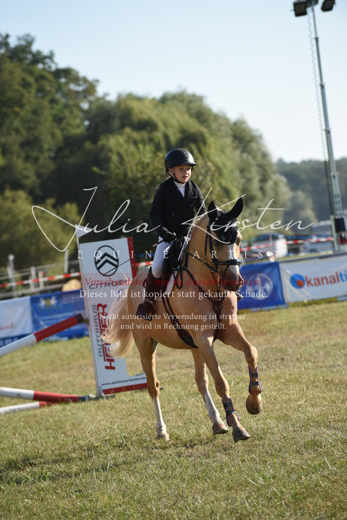 DSC_5519 | Pferde- und Turnierfotografie in Westsachsen. Pferdeportraits, Auftragszeichnungen und intuitive Kunst.