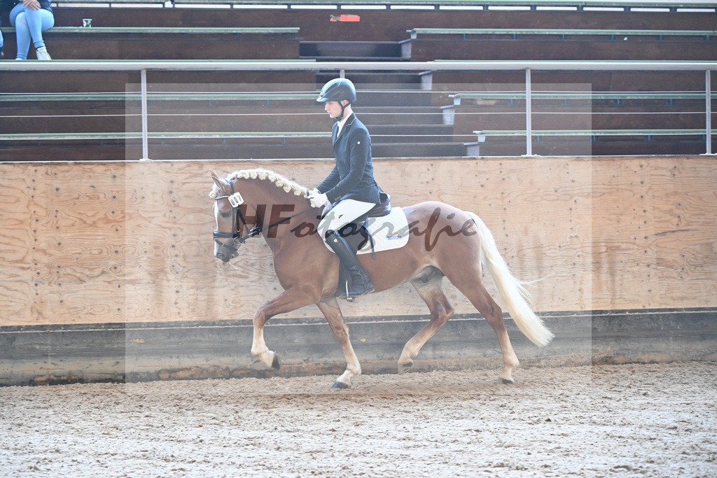 Kat-Nr. 7 Narcotic v. Nakuri_ZG Hackfurt u Weiser_43250462 | hf-fotografie - Realizzato con Pictrs.com