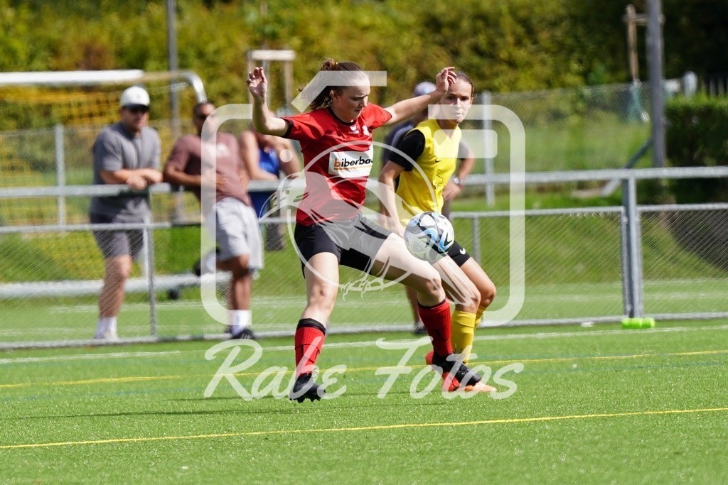 SON08358 | rabefotos