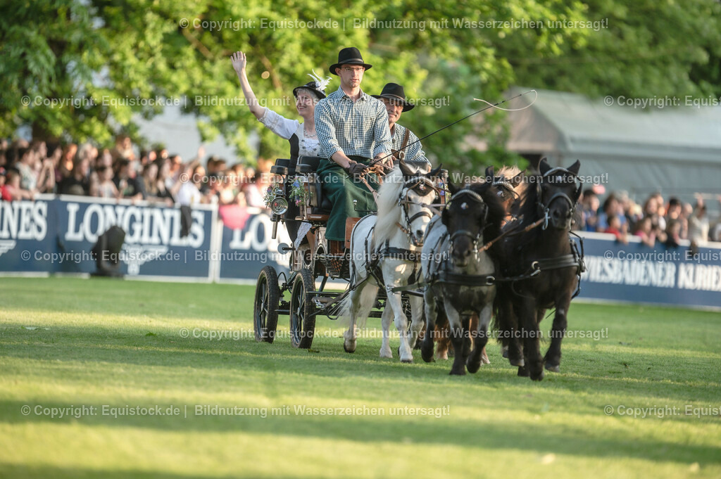 20230526_Pferdenacht_0119 | equistock