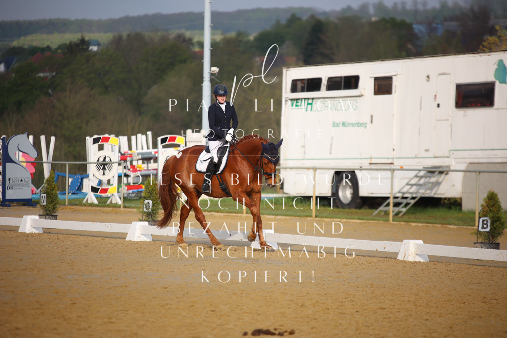 IMGT8377 | pl-fotografie