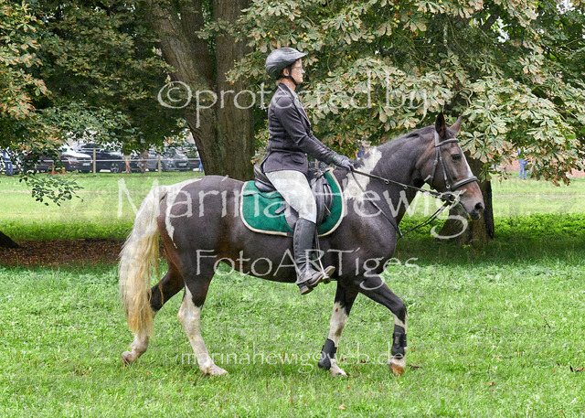 09-23 JAgd PerdölDSC01878_Marina Hewig | Fotografie, FotoArt, PferdesportArt, Pferdesportfotografie, Landschaftsfotografie, Reisefotografie, Reise, Pferde - Realisiert mit Pictrs.com