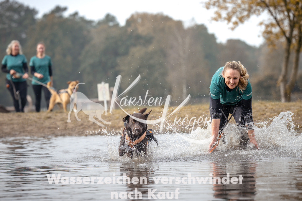 1119_ZZ93983 | kk-dogfotos