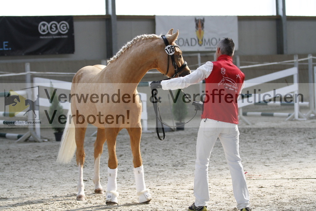 _MG_9723 | equestrian-live-com