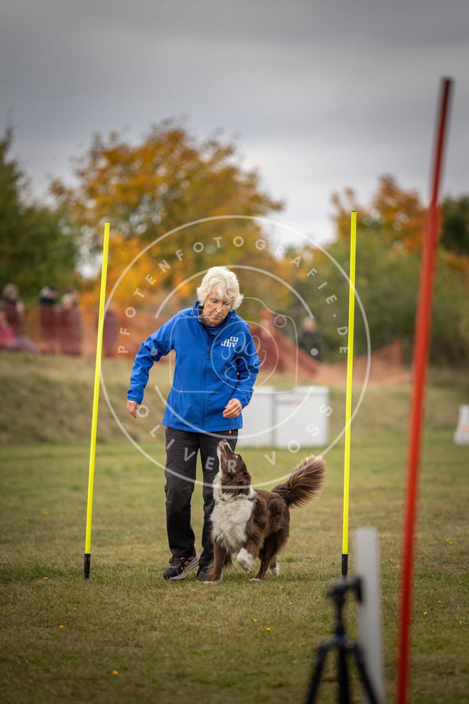Pfotenfotografie_DV3A6044 | Hundefotografie, Tierfotograf, Pfotenfotografie, Fotoshooting Hund, Hunde Portrait, Hundesport, Hundeportraits, Heideshooting, Hunde, Sportfotograf, Hundefotograf, Turnierhundsport, THS,  - Realisiert mit Pictrs.com