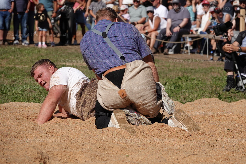 DSC01740 | Schwingen - Realisiert mit Pictrs.com