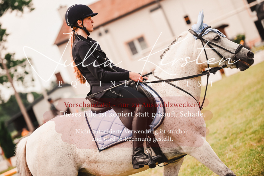 DSC_6938 | Pferde- und Turnierfotografie in Westsachsen. Pferdeportraits, Auftragszeichnungen und intuitive Kunst.