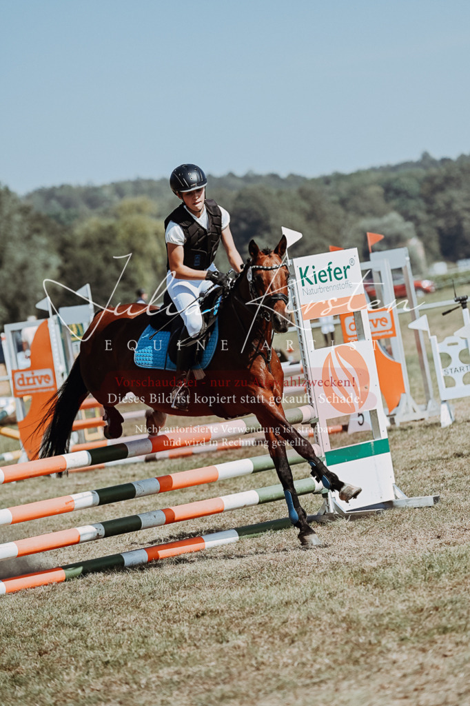 DSC_9969 | Pferde- und Turnierfotografie in Westsachsen. Pferdeportraits, Auftragszeichnungen und intuitive Kunst.