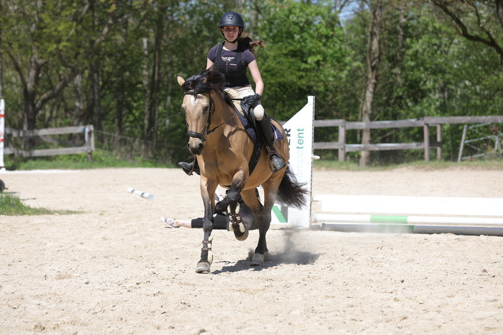 0P6A8823 | Willkommen bei Brunnmayr - Design & Fotografie – Ihrem Spezialisten für Reitturniere und Pferdeveranstaltungen in Oberösterreich, Salzburg und Bayern! Seit über 17 Jahren sind wir leidenschaftlich dabei.